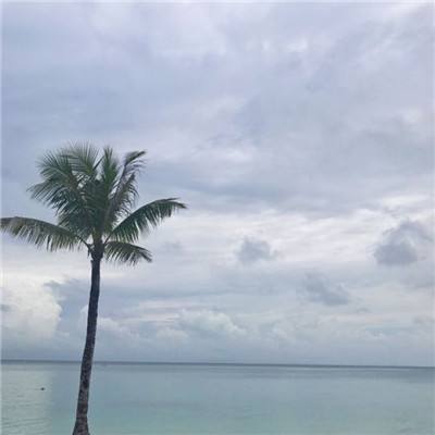 西皮镇时光手游下载