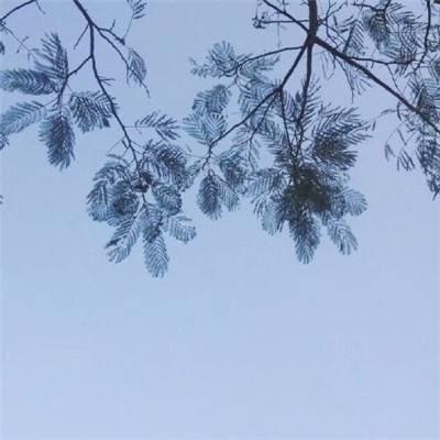 星晨变手游下载